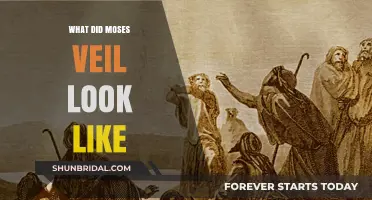 Unveiling the Mystery: What Did Moses' Veil Look Like?