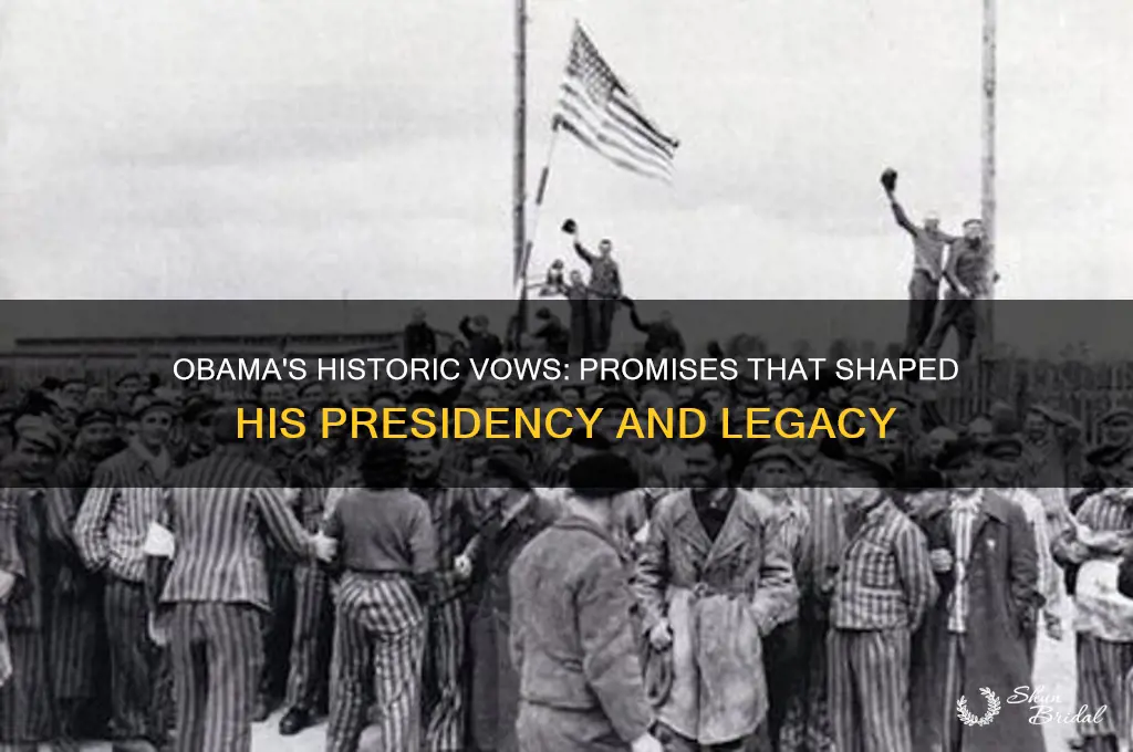 what did obama vow with