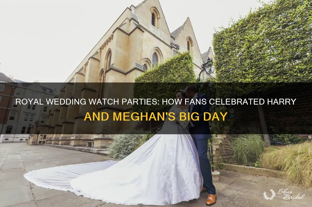 what did people do while watching harry and meghan wedding