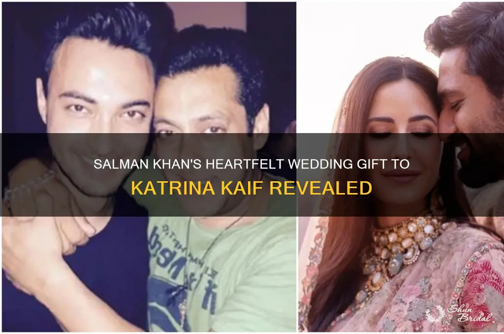 what did salman gift katrina on her wedding