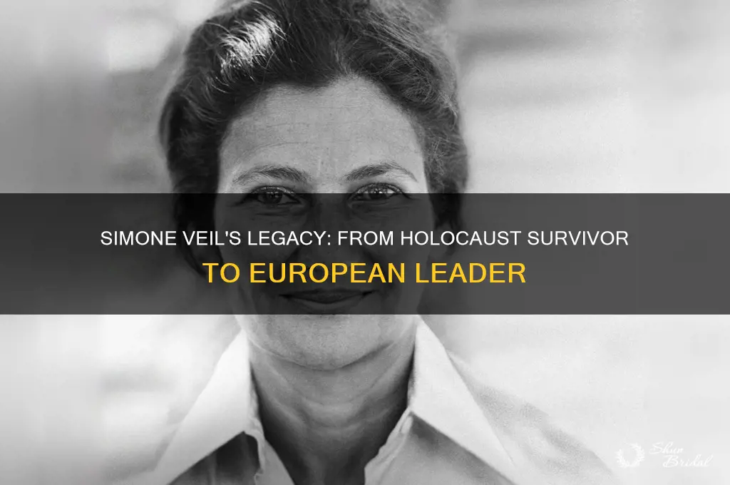 what did simone veil do
