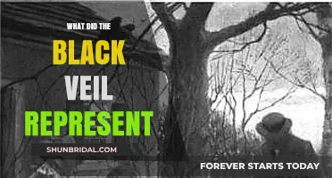 Unveiling the Mystery: The Symbolic Meaning Behind the Black Veil