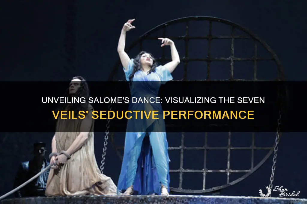 what did the dance of the seven veils look like