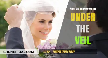 Unveiling the Moment: What the Groom Saw Under the Veil