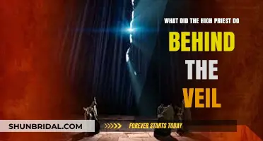 Behind the Veil: Unveiling the High Priest's Sacred Duties