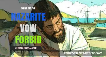 Understanding the Nazarite Vow: Forbidden Practices and Sacred Commitments