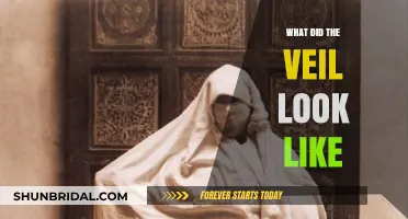 Unveiling the Mystery: What Did the Veil Look Like?