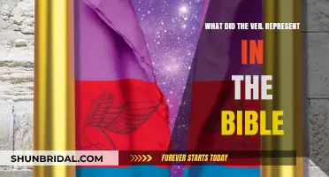 Unveiling Biblical Symbolism: The Veil's Spiritual Significance Explained
