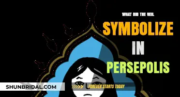 The Veil's Symbolic Power in Marjane Satrapi's Persepolis