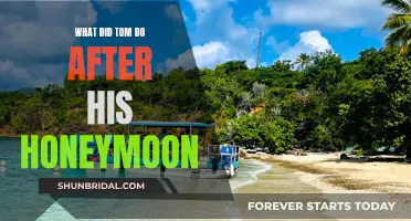 Tom's Post-Honeymoon Adventures: An Unforgettable Journey