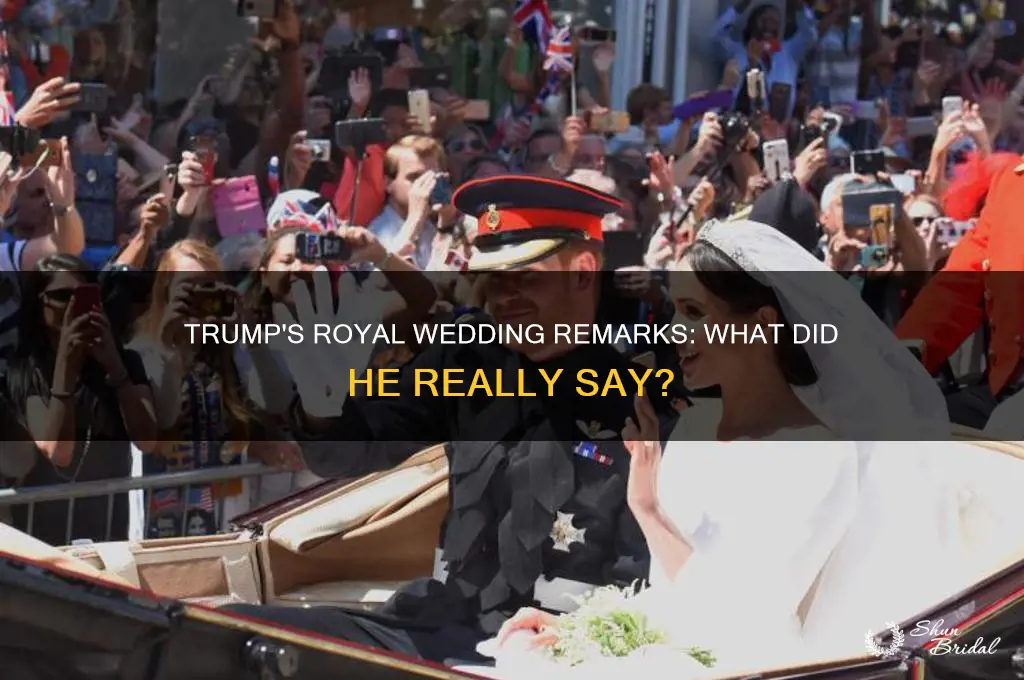 what did trump say about the royal wedding