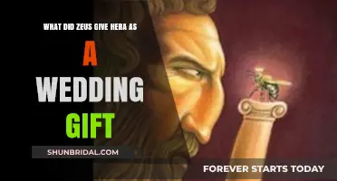 Zeus' Wedding Gift to Hera: A Mythological Tale of Love and Power