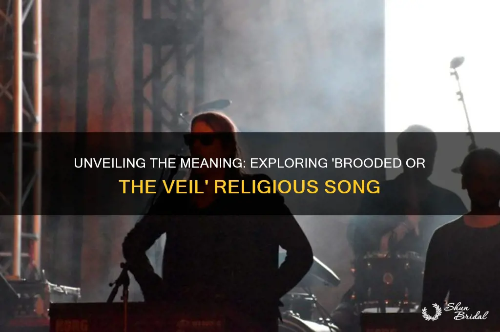 what dies the religious song brooded or the veil mean