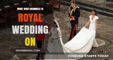 Where to Watch the Royal Wedding: Dish Channel Guide