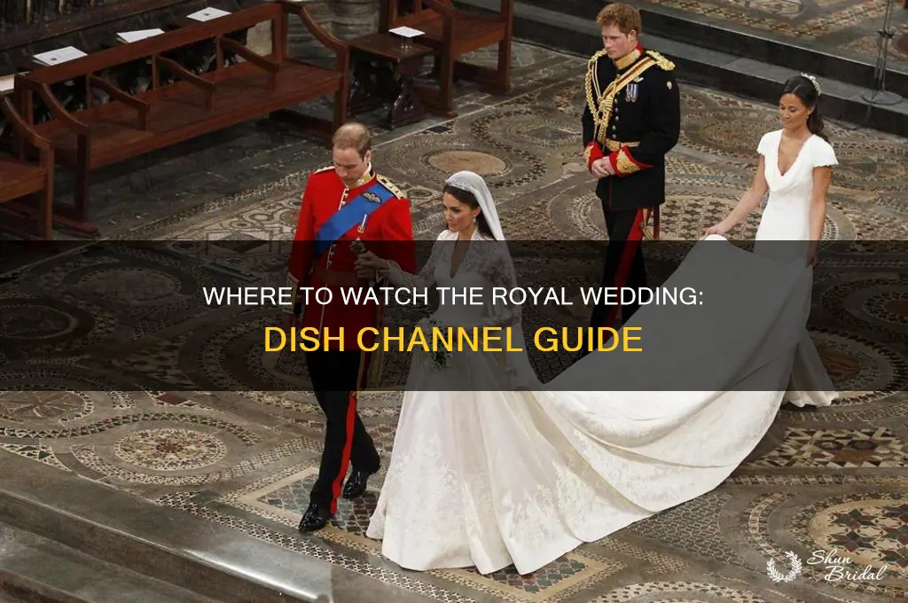 what dish channels is royal wedding on