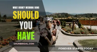 Disney Wedding Songs: Your Perfect Match
