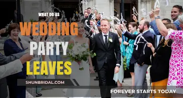 Elegant Farewell Ideas as Your Wedding Party Makes a Grand Exit