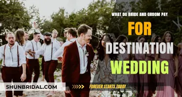 Destination Wedding Costs: Who Pays for What, Bride or Groom?