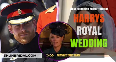 British Reactions to Harry's Royal Wedding: Opinions and Insights