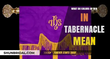 Unveiling the Symbolic Colors of the Tabernacle's Veil: A Biblical Exploration