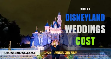 Disneyland Wedding Costs: Planning Your Fairy Tale Celebration