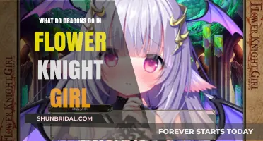 Exploring Dragons' Roles in the World of Flower Knight Girl