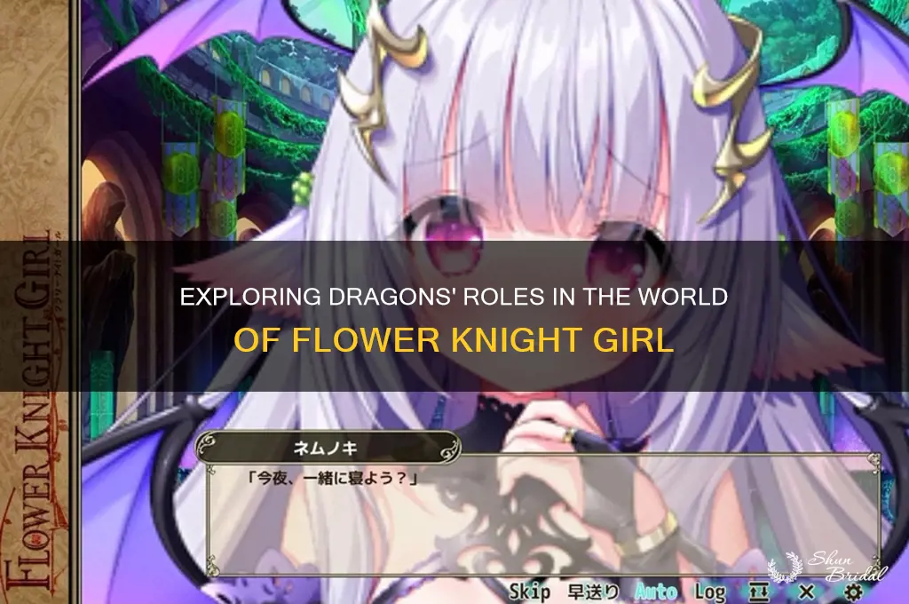 what do dragons do in flower knight girl