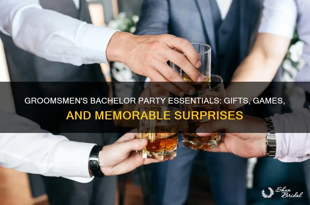 what do groomsmen bring to bachelor party