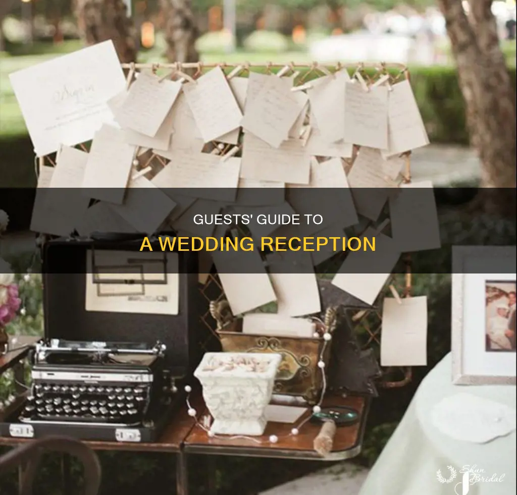 what do guest do at a wedding reception