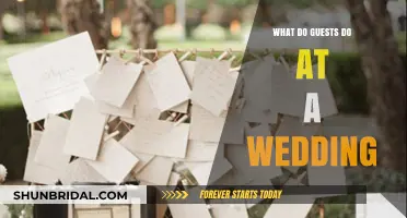Wedding Guest Guide: Roles, Traditions, and Fun Activities Explained