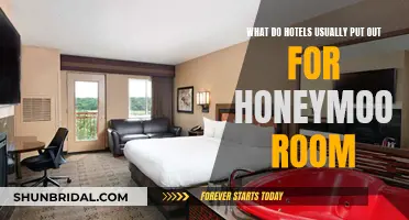 Honeymoon Suite Delights: What Hotels Offer for Newlyweds