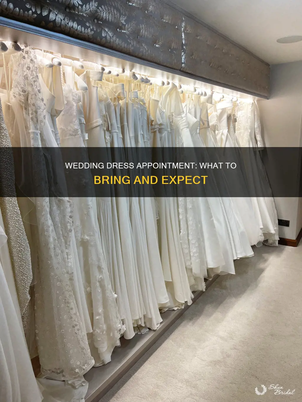 what do I need for a wedding dress appointment