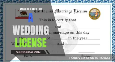 Documents and Details: Getting Your Wedding License