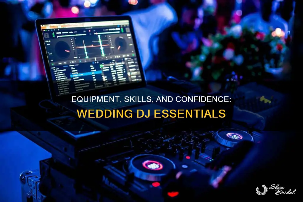 what do I need to be a wedding dj