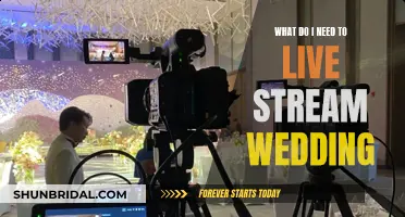 A Wedding Live Stream: What You Need to Know