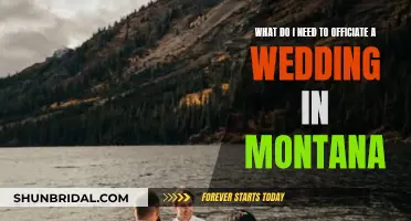 Officiating Weddings in Montana: What You Need to Know