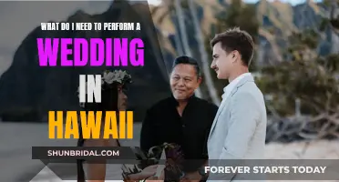 A Guide to Performing Weddings in Hawaii