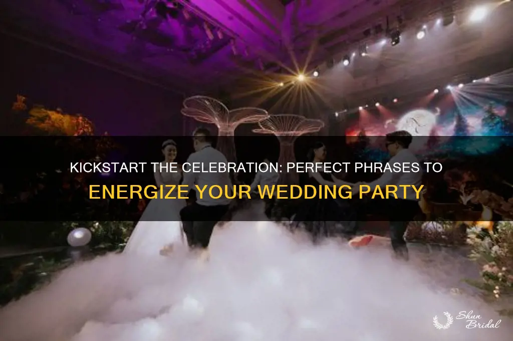 what do I say to get the wedding party going