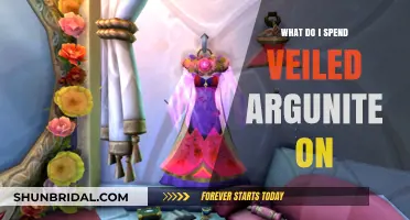 Maximizing Veiled Argunite: Smart Spending Tips for WoW Players