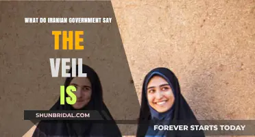 Iran's Veil Narrative: Government's Perspective on Hijab's Cultural Significance