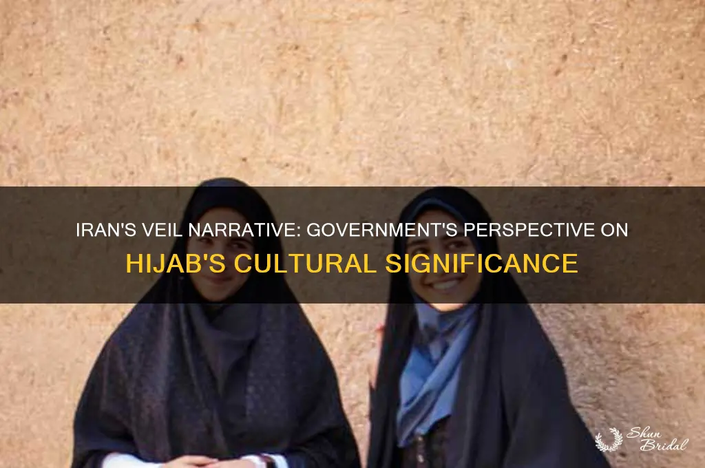 what do iranian government say the veil is