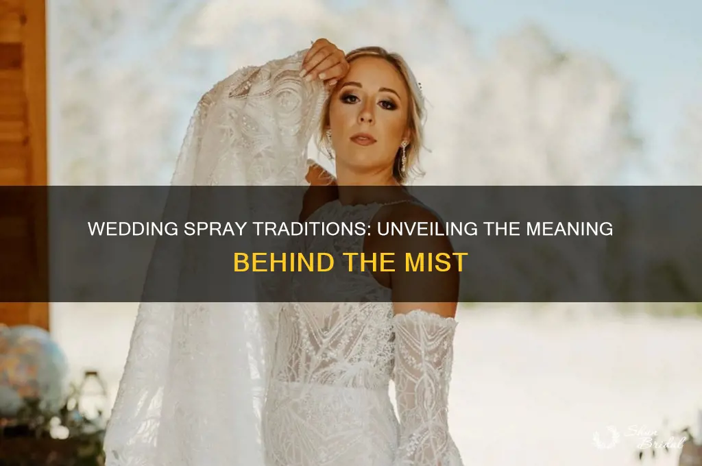 what do people spray during wedding