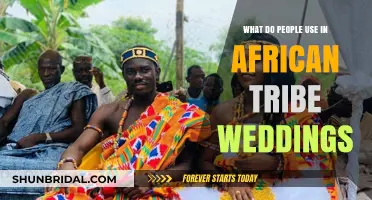Traditional African Tribe Wedding Essentials: Rituals, Attire, and Symbols Explained