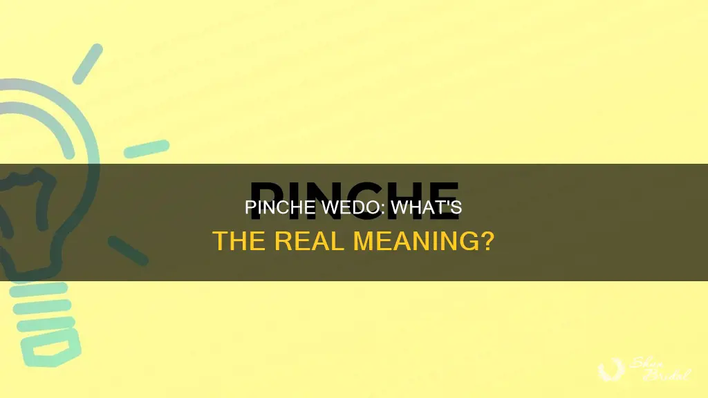 what do pinche wedo mean