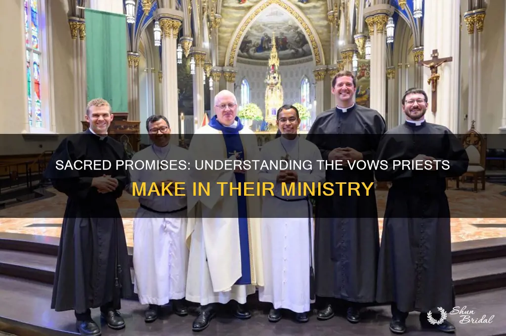 what do priests vow when they become priests