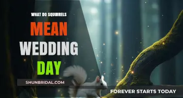 Squirrels on Your Wedding Day: Unlocking the Surprising Symbolism