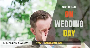 Tears on the Wedding Day: Joy, Emotion, and Their Hidden Meanings