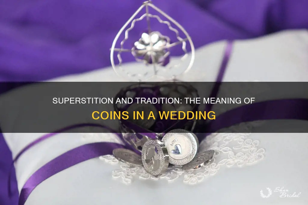 what do the 13 coins in a wedding mean