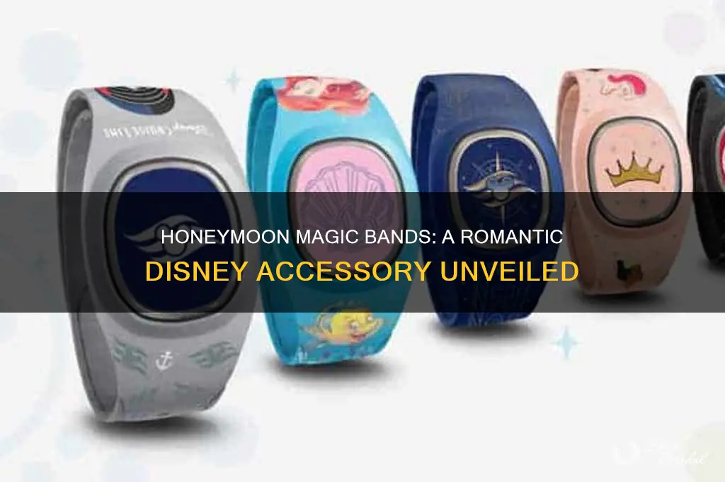 what do the honeymoon themed magic bands look like