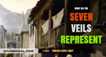 Unveiling the Mystery: Symbolism Behind the Seven Veils Explained